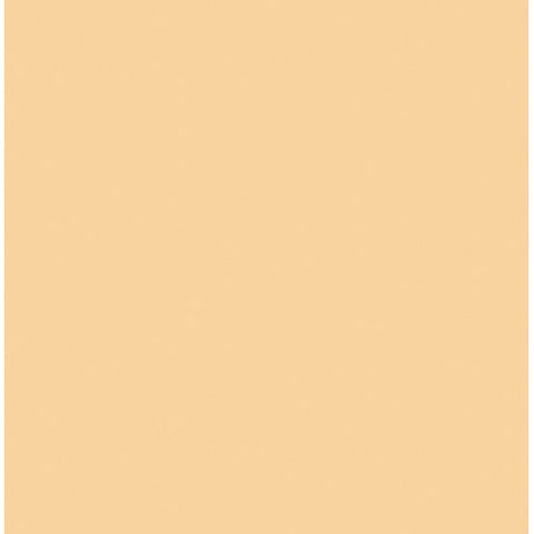 Rosco Cinegel #3442 Filter - 1/2 Straw CTS - 20x24" Sheet