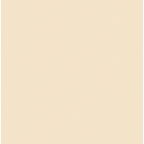 Rosco Cinegel #3443 Filter - 1/4 Straw CTS - 20x24" Sheet