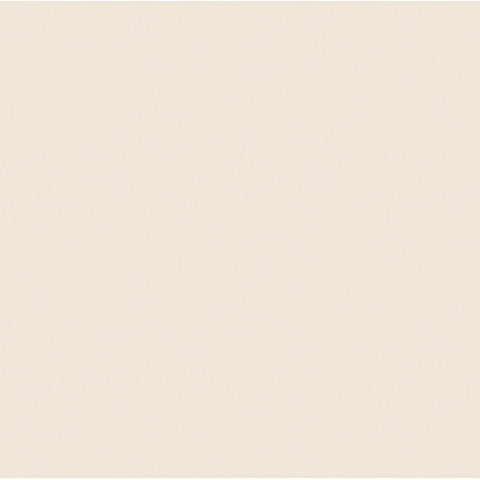 Rosco Cinegel #3444 Filter - 1/8 Straw CTS - 20x24" Sheet