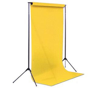 Savage Economy Background Support (9.5' Width)