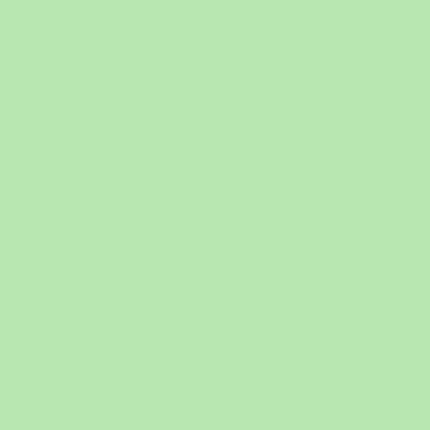 Rosco CalColor #4415 Filter - Green (1/2 Stop) - 20x24" Sheet