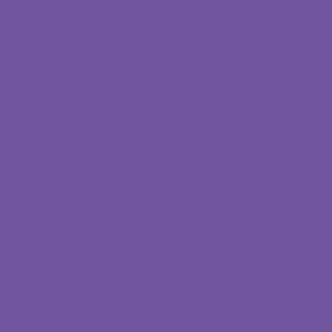 Rosco CalColor #4960 Filter - Lavender (2 Stop) - 20x24" Sheet