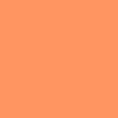 Roscolux #17 Filter - Light Flame - 20x24" Sheet