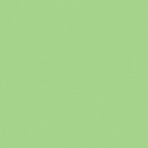 Roscolux #88 Filter - Light Green - 20x24" Sheet