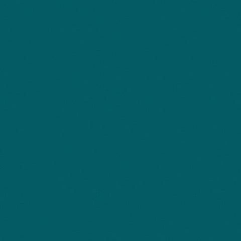 Roscolux #95 Filter - Medium Blue Green - 20x24" Sheet