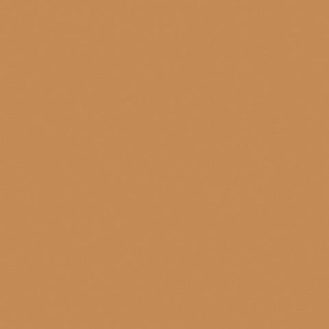 Rosco Cinegel #3405 Filter - RoscoSun 85N.3 - 20x24" Sheet