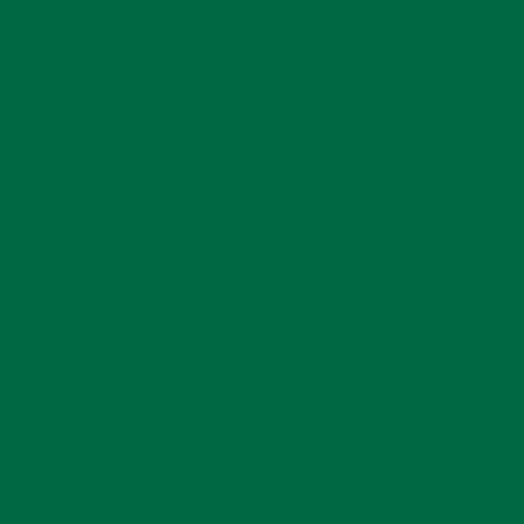 Rosco Storaro Color Effects Lighting Filter, #2004 VS Green (20x24" Sheet)