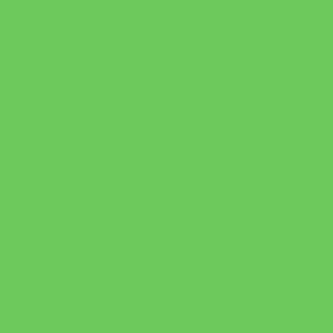 Rosco CalColor #4460 Filter - Green (2 Stop) - 20x24" Sheet