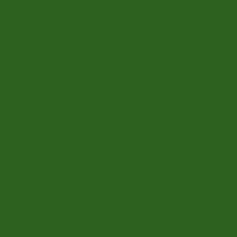 Rosco CalColor #4490 Filter - Green (3 Stop) - 20x24" Sheet