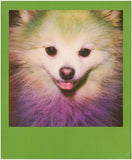 Polaroid Color Film for 600 - Color Frames Edition (8 Photos) (6015)