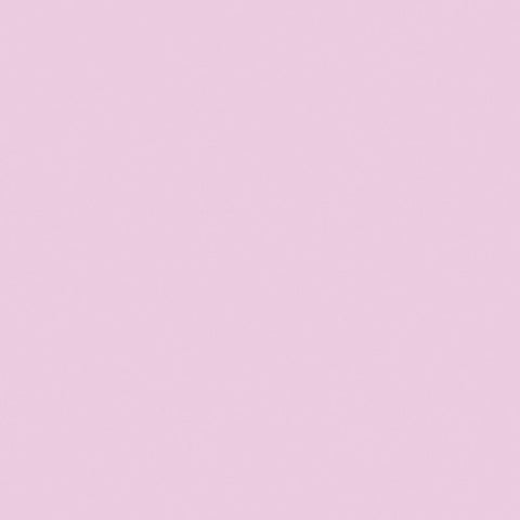 Roscolux #333 Filter - Blush Pink - 20x24" Sheet